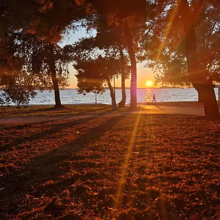 Mobilna Kucica Tara Vodice